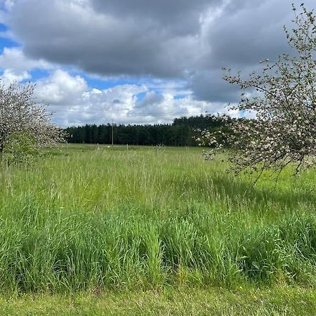 Gite Le Village Des Champs Soings-en-Sologne Ngoại thất bức ảnh